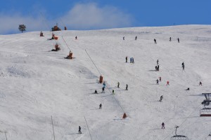 Mye folk i skianlegg i Telemark. Her fra Gautefall. Foto: Drangedal Røde Kors